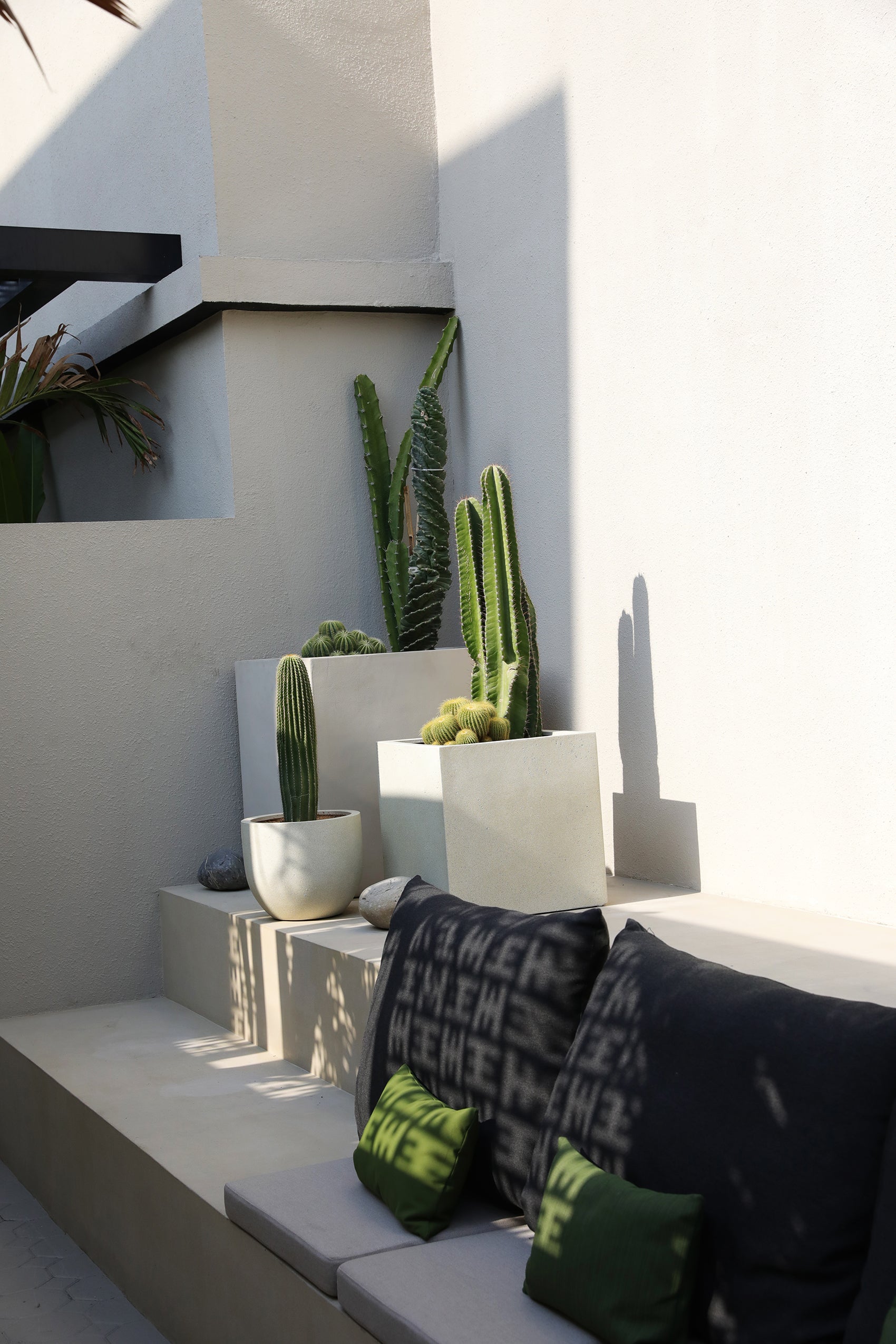Cacti in cream square pots on a modern outdoor setting with green black and linen cushions on s courtyard bench in Halm Collective Villa Umm Suqeim.
