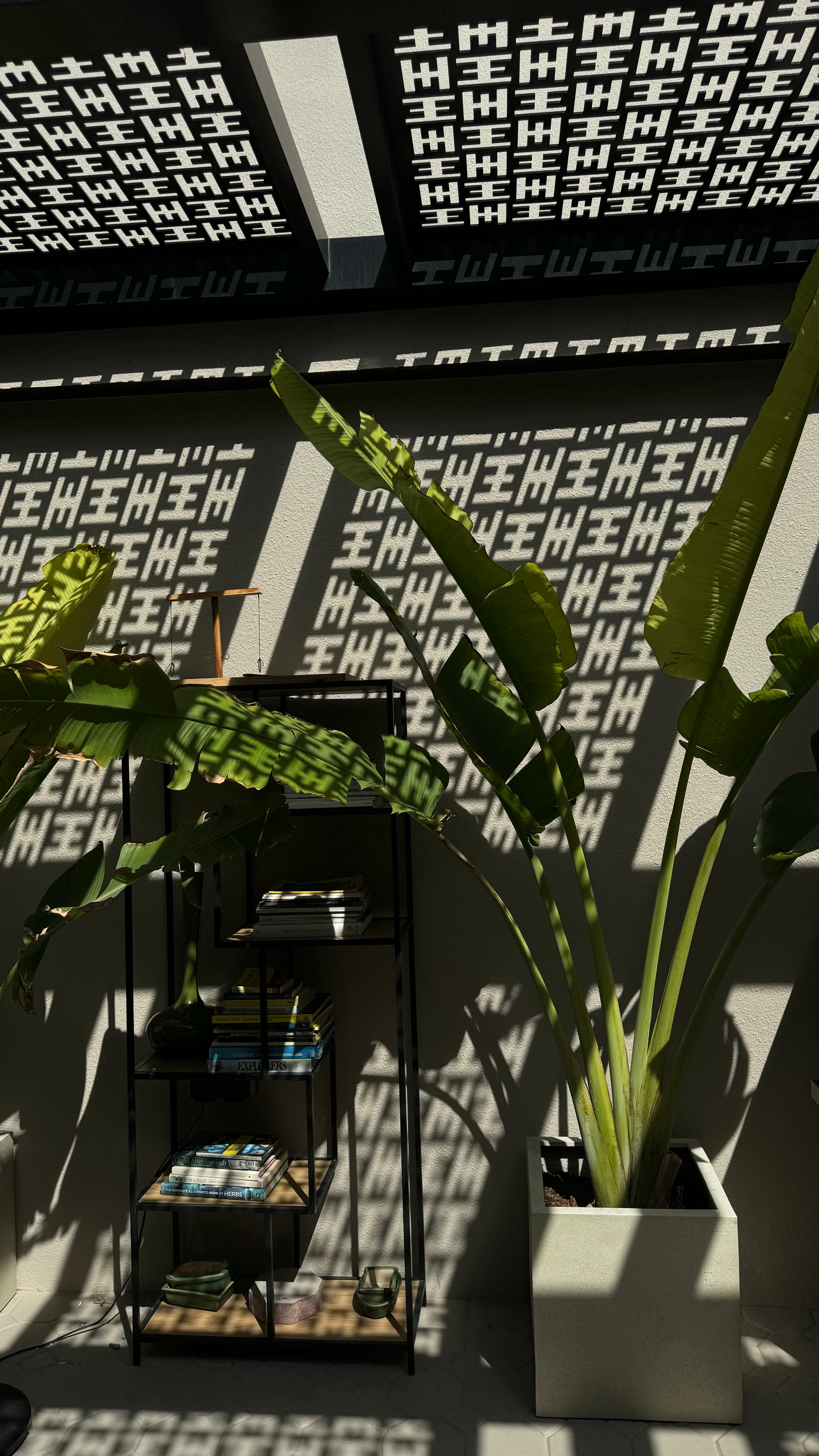 Halm Cafe green outdoor seating space with Halm mashrabiya pergola pattern shadows.