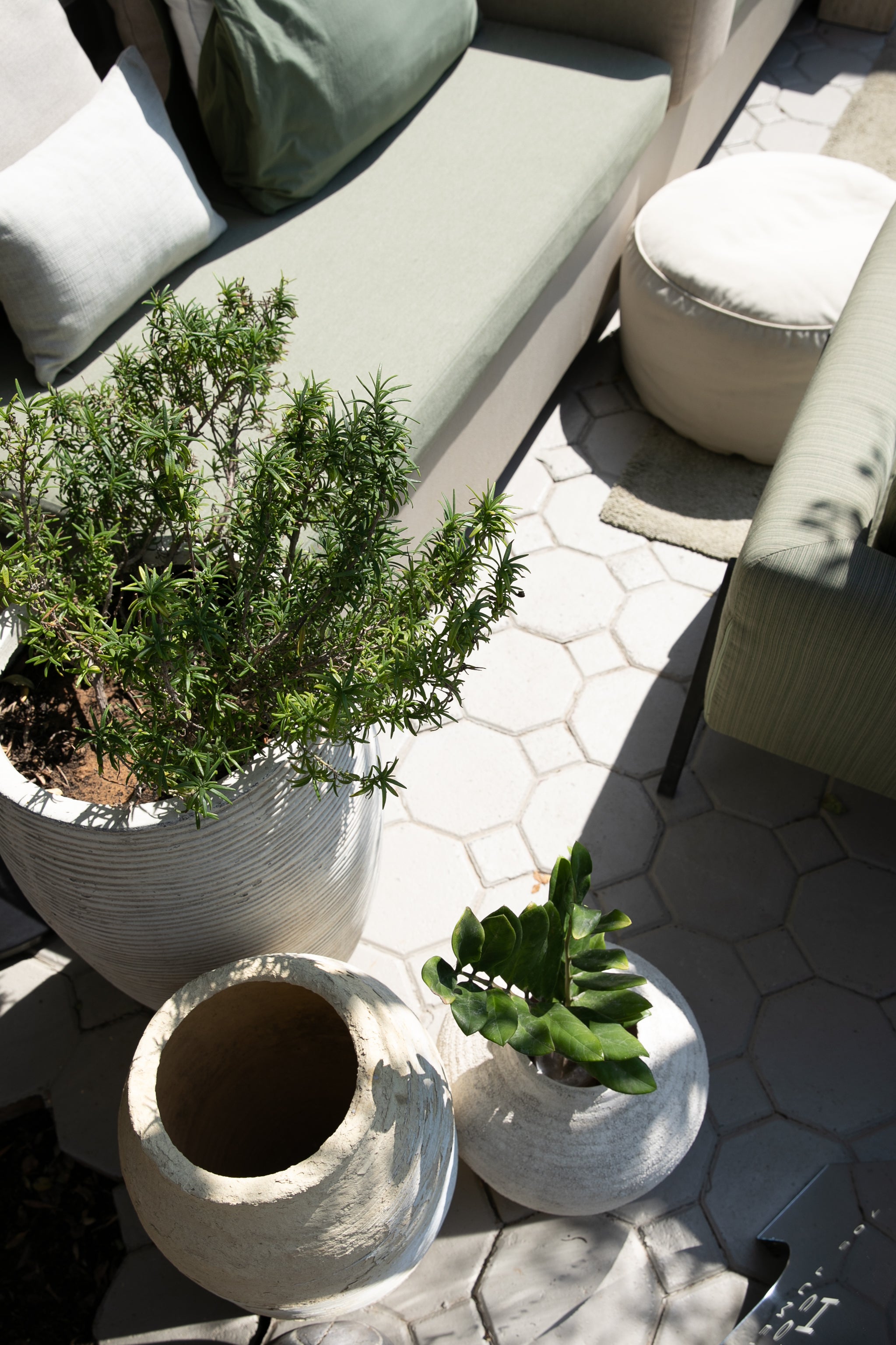 Outdoor majlis cafe & lounge setting with potted plants and a patio area in green garden.