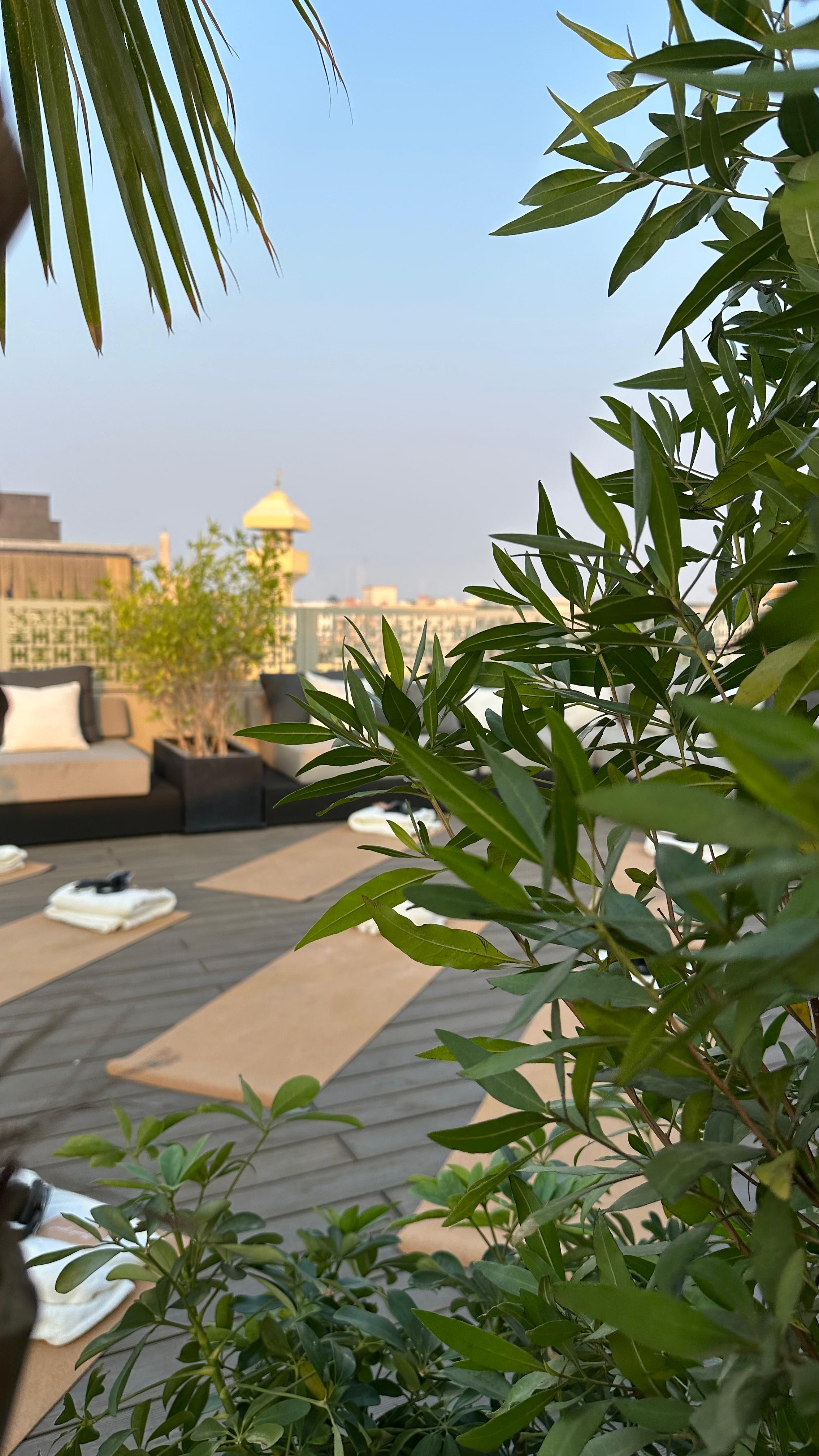 Outdoor rooftop area with furniture and greenery
