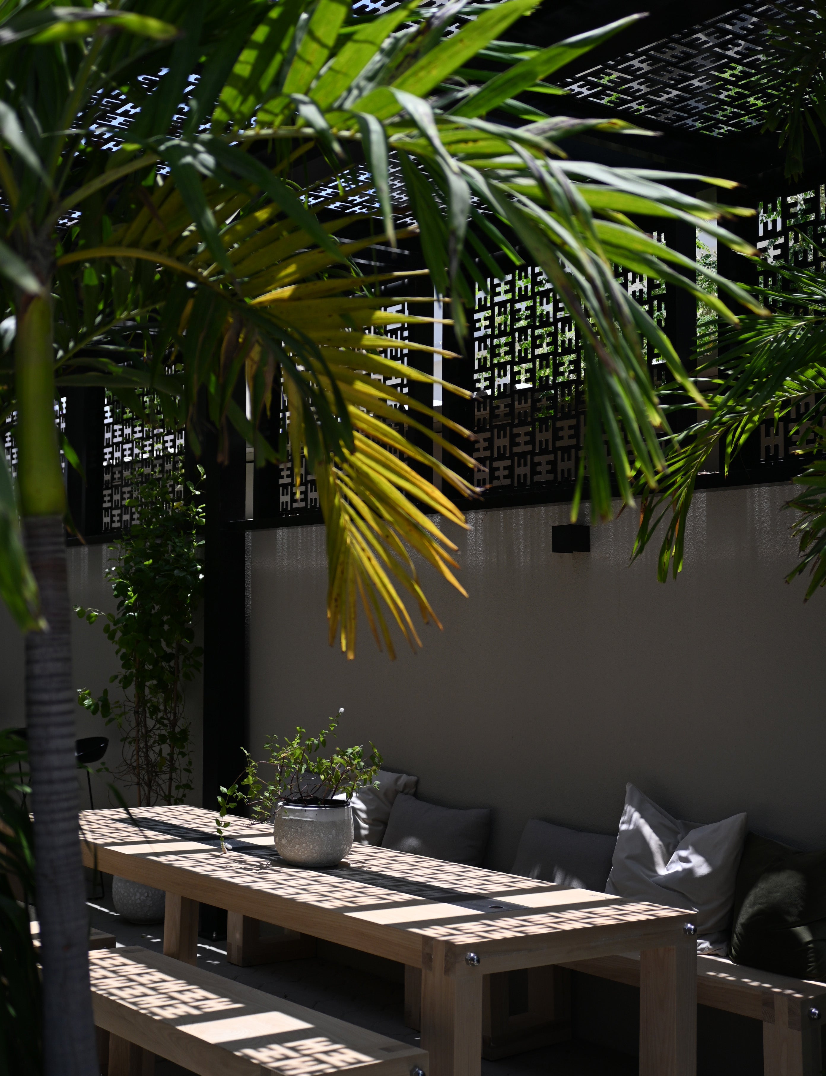 Outdoor space to work and chill at Halm Collective Wellness Club Dubai. Lush green palm trees and inviting seating in a calm setting.