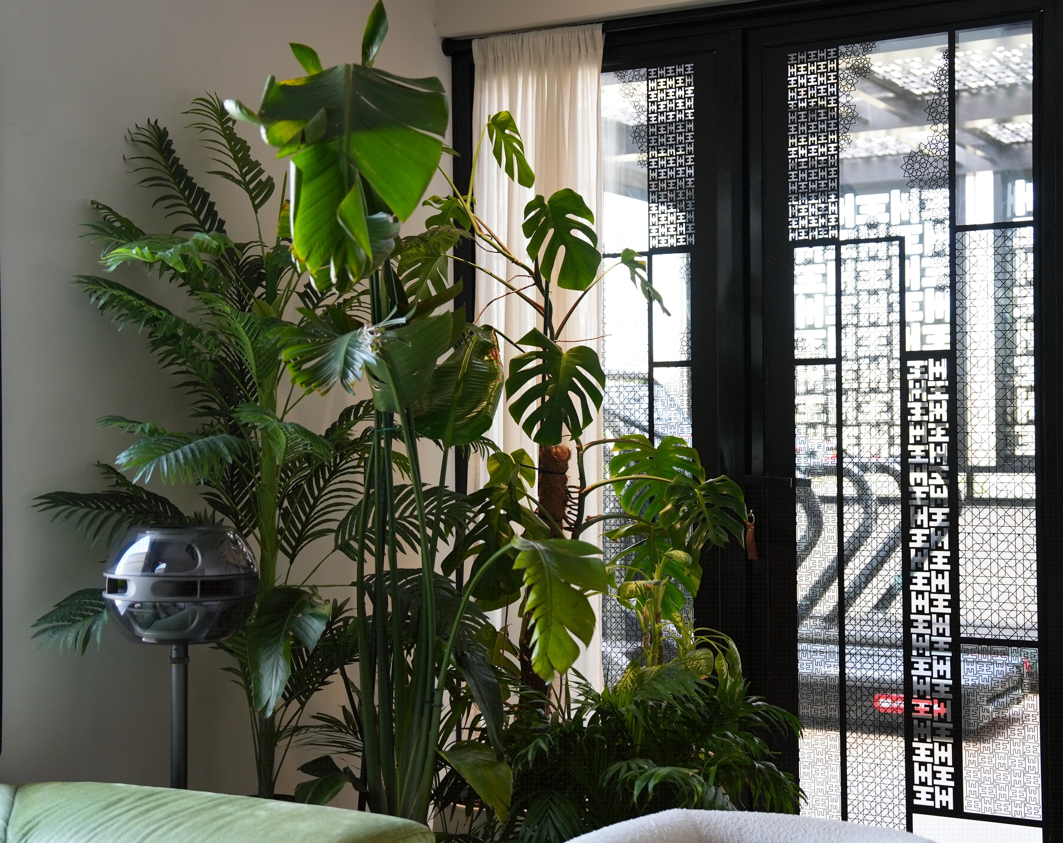 The Benefits Of Cardio: Why It Belongs In Every Wellness Routine