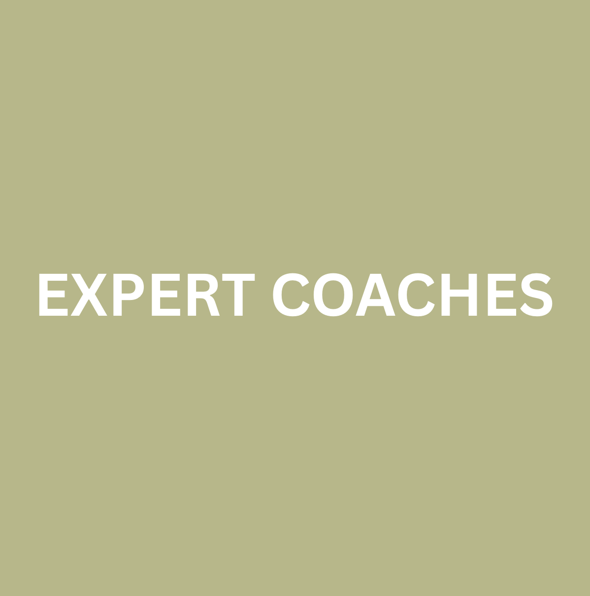 University-educated and certified coaches at Halm Collective Wellness Club, Jumeirah Dubai. 
