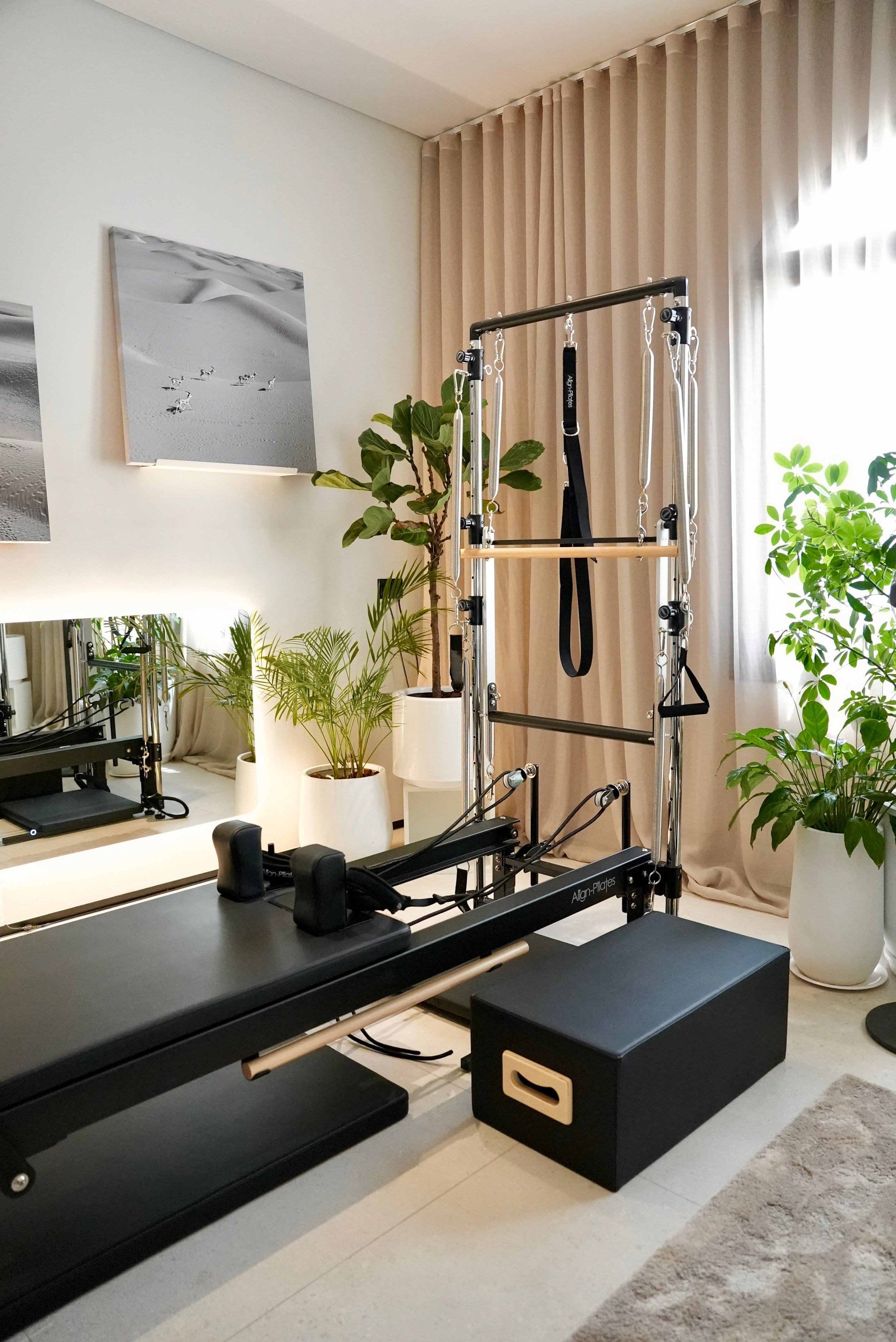 halm private boutique pilates studio with lush green plants