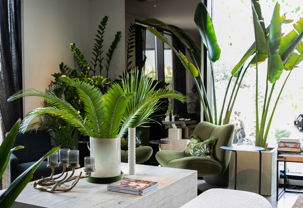 interior setting of halm collective members room