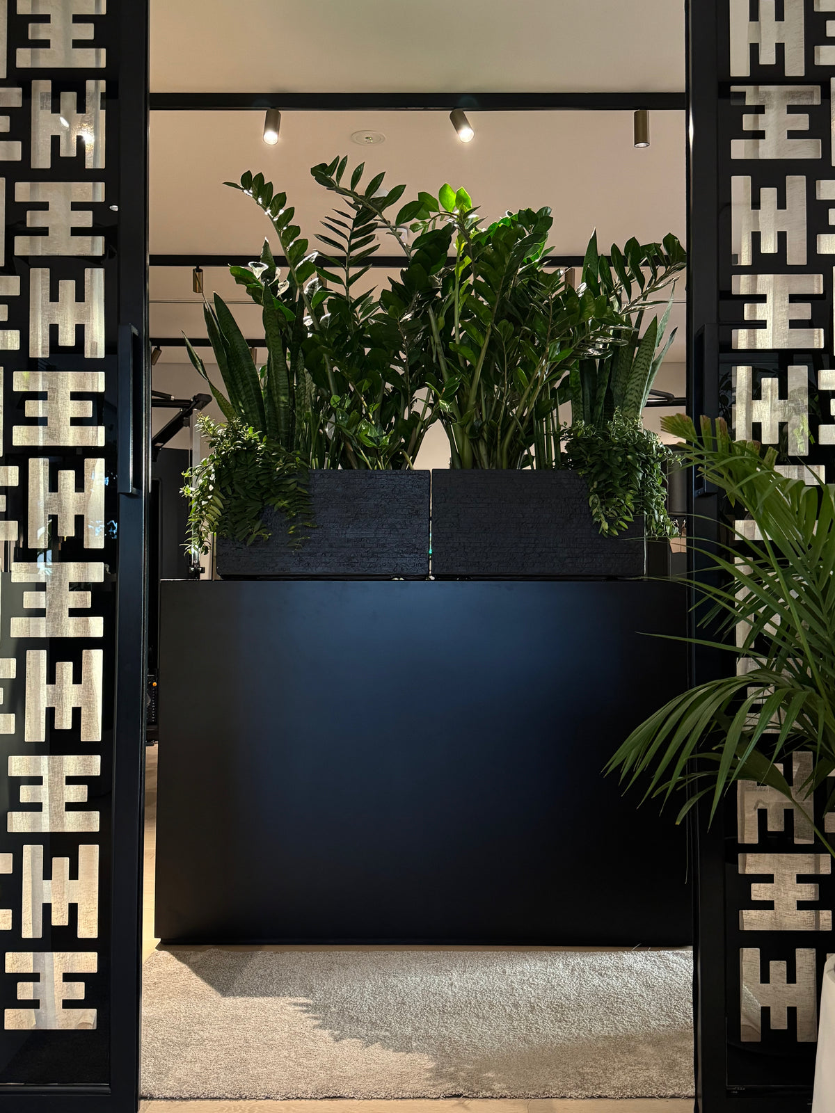 Halm Collective Private gym with sleek black decor, indoor plants, and stylish mashrabiya paneling. Jumeirah, Dubai. 