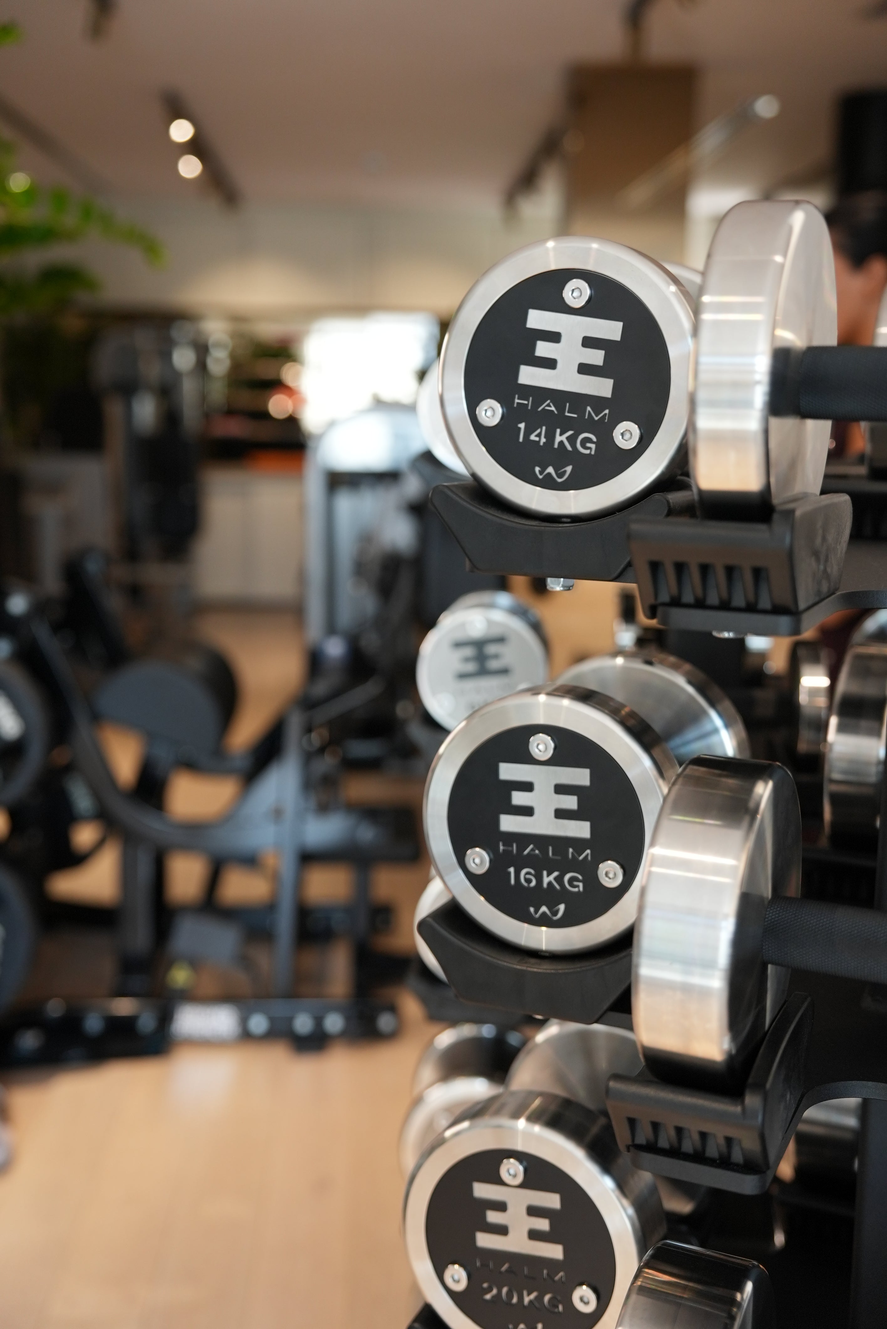 halm collective weights in private boutique gym.
