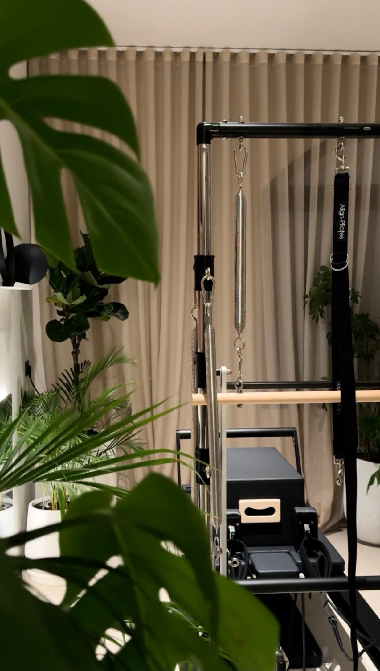 Private Reformer Pilates setup—reformer with tower in a calm, greenery-filled studio in Jumeirah, Dubai