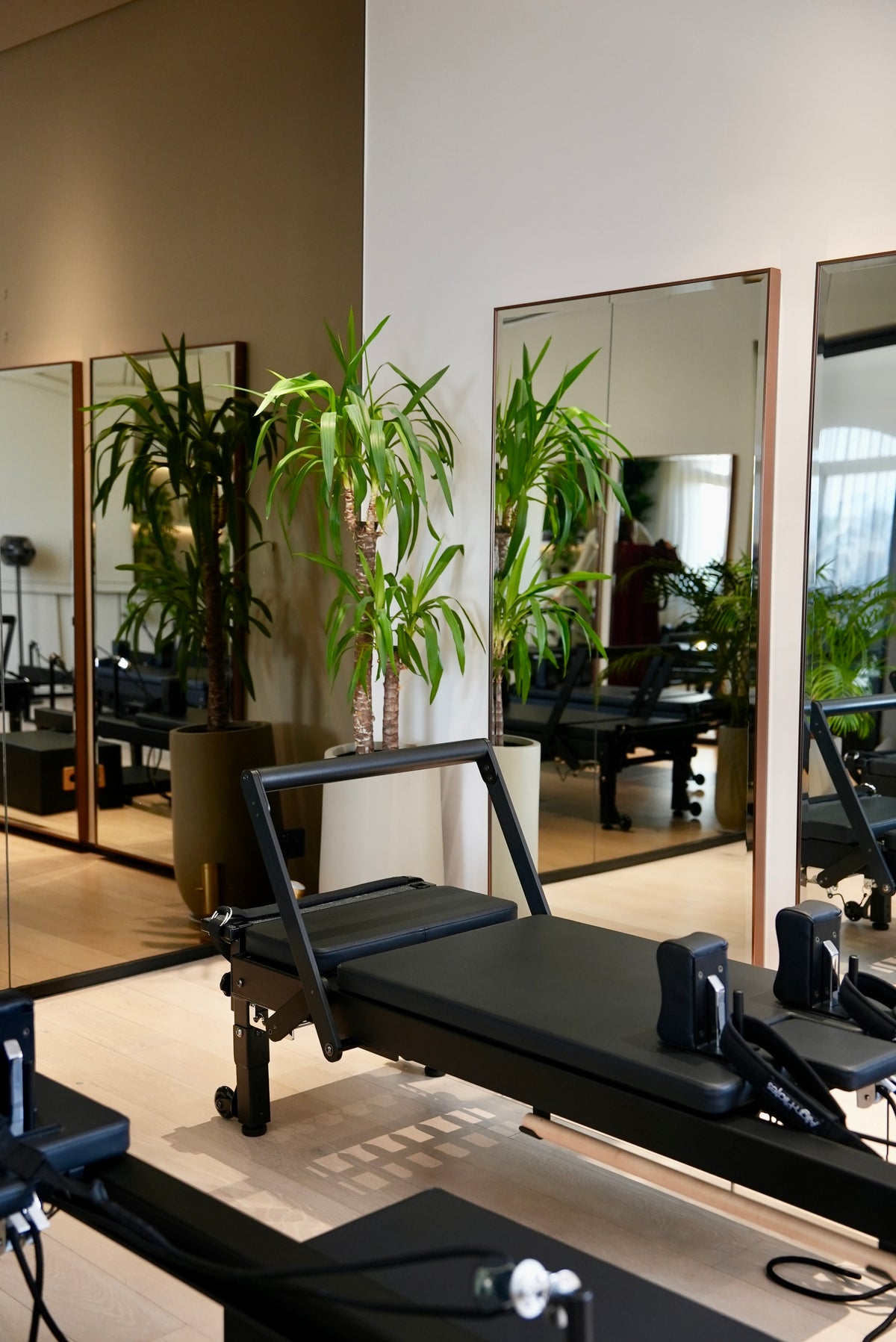 small group pilates studio with mirrors and plants in Jumeirah, Dubai.
