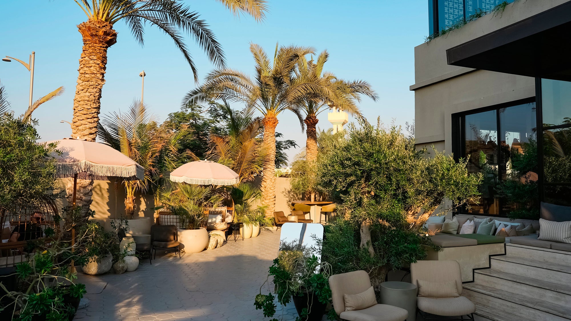 Outdoor patio area with palm trees, chairs, and a building in the background.