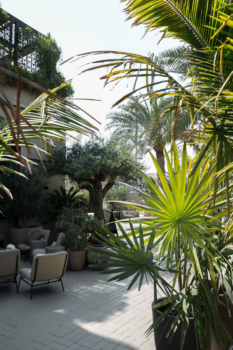 Patio area with chairs, plants, and a building in the background
