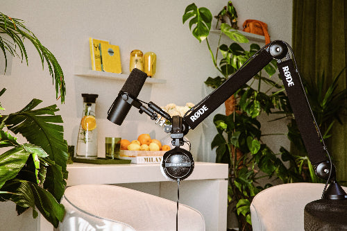 Designer podcast studio with rode microphones, professional top tier equipment, designer tailor made interiors and bespoke set up with tropical plants in Jumeriah, Dubai. 