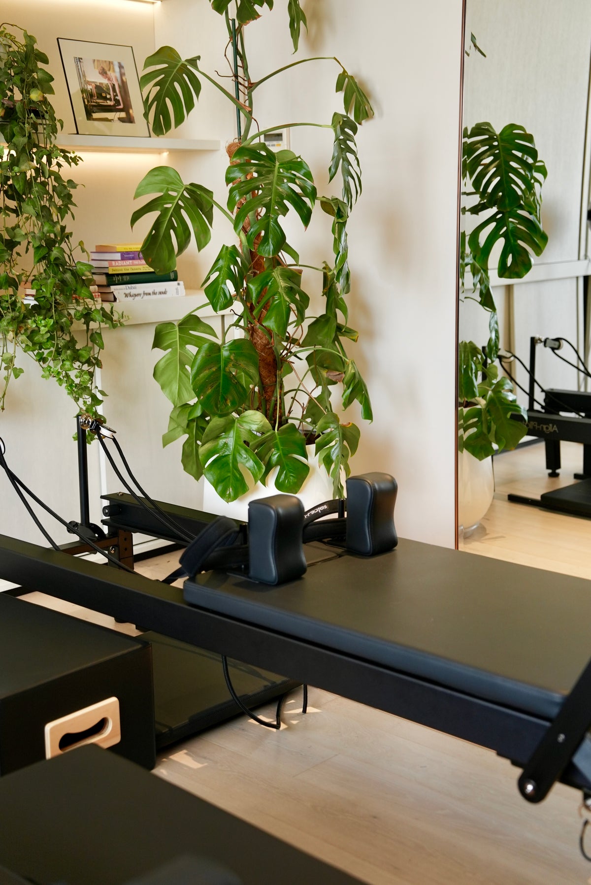 Pilates reformer machine in a room with plants and mirrors.