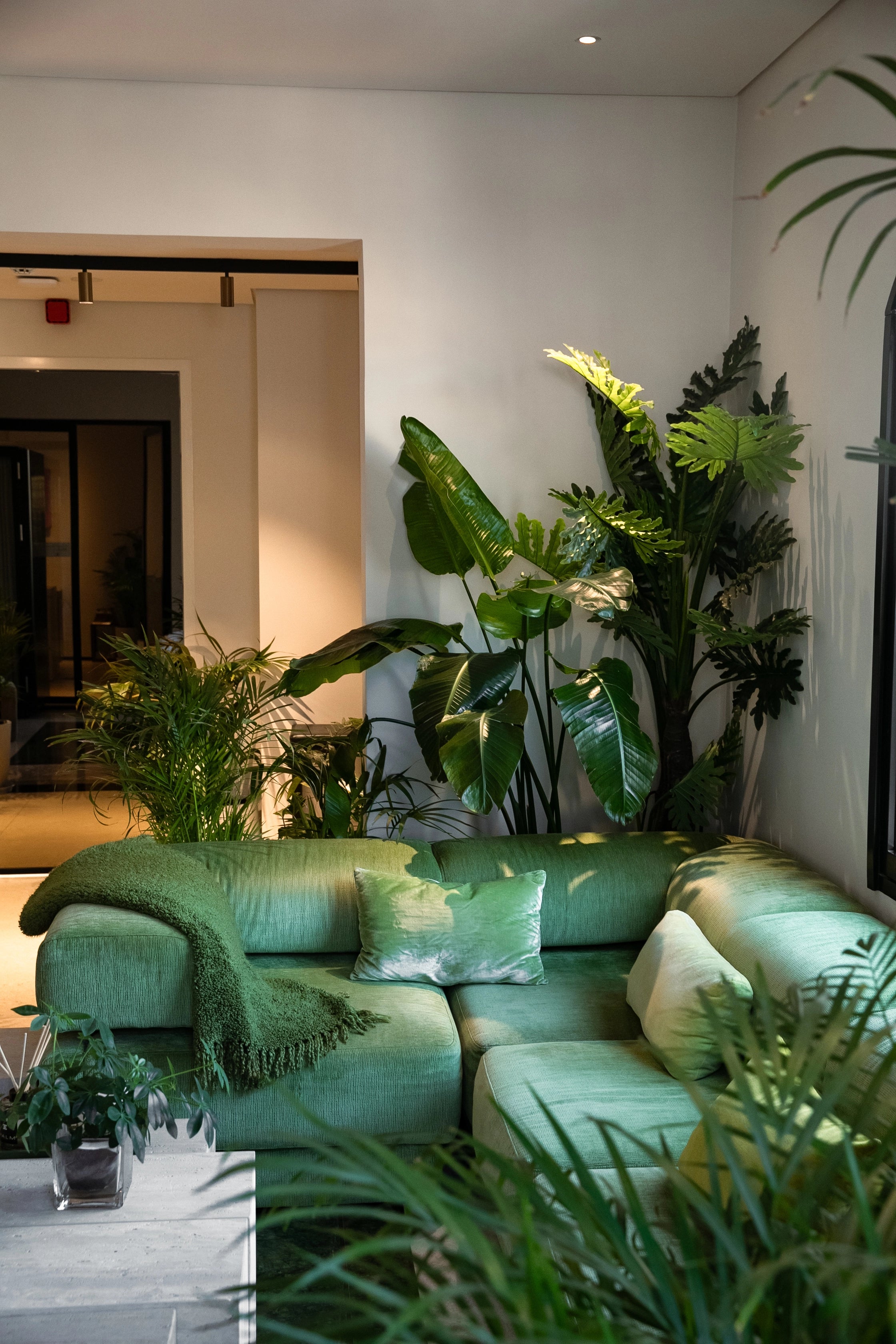 Serene corner lounge with lush plants and a soft green sofa—calm, natural luxury made for unwinding post pilates class or podcast session in Jumeirah, Dubai. 